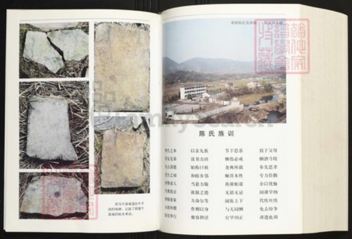 湖南省张家界桑植县陈氏族谱-桑植陈氏族谱.pdf电子版插图5