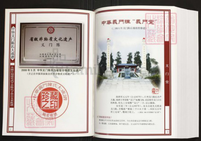 福建省龙岩市武平县陈氏族谱-中华义门陈氏大成谱东陂庄福建省武平县陈氏子贵公支系族谱.pdf电子版插图2