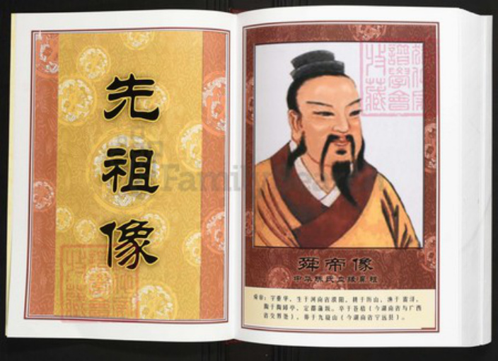 广东省汕头市普宁县陈氏族谱-中华义门陈氏大成谱太平庄支系梅林坂宗谱.pdf电子版插图4