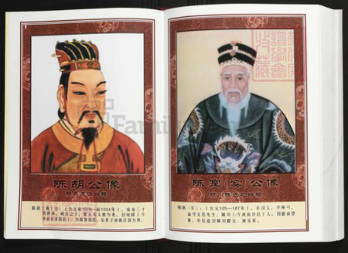 广东省汕头市普宁县陈氏族谱-中华义门陈氏大成谱太平庄支系梅林坂宗谱.pdf电子版插图5