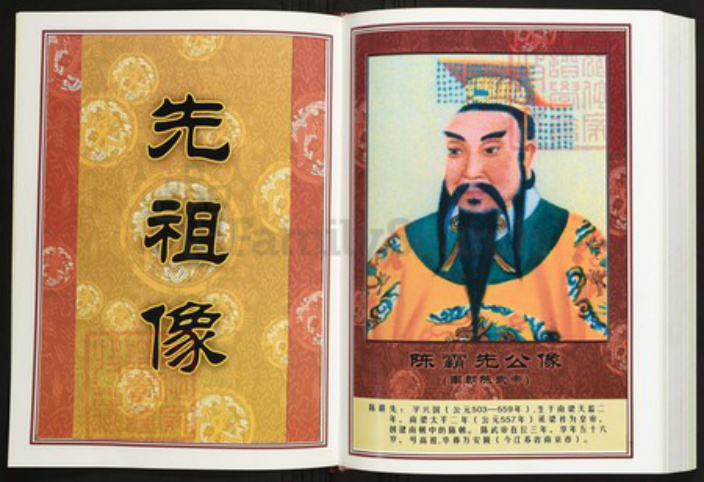 江西省赣州市寻乌县陈氏族谱-中华义门陈氏大成谱汀州庄寻乌留车十二郎公支系谱.pdf电子版插图4