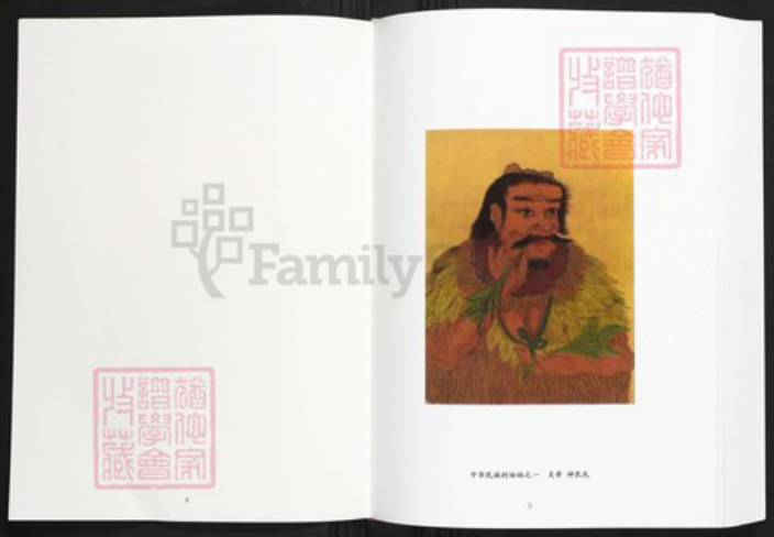 湖北省武汉市黄陂区陈氏族谱-安陆陈家沟陈氏宗谱.pdf电子版插图4 湖北省武汉市黄陂区陈氏族谱-安陆陈家沟陈氏宗谱.pdf电子版插图4