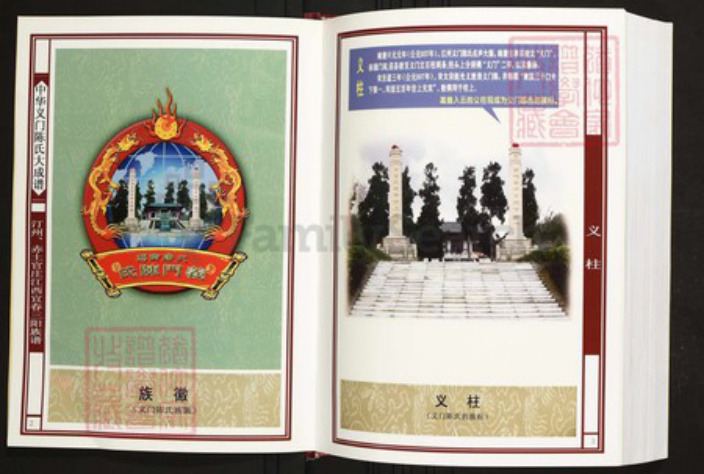 江西省宜春市陈氏族谱-中华义门陈氏大成谱汀州、赤土官庄江西宜春三阳族谱.pdf电子版插图2