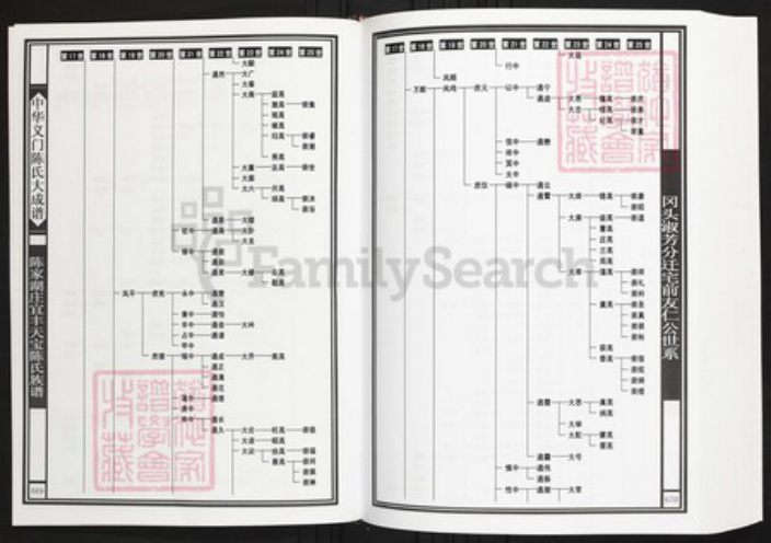 江西省宜春市陈氏族谱-中华义门陈氏大成谱陈家湖庄宜丰天宝陈氏族谱.pdf电子版插图3