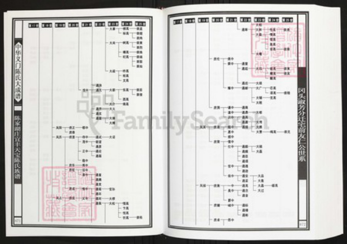 江西省宜春市陈氏族谱-中华义门陈氏大成谱陈家湖庄宜丰天宝陈氏族谱.pdf电子版插图4