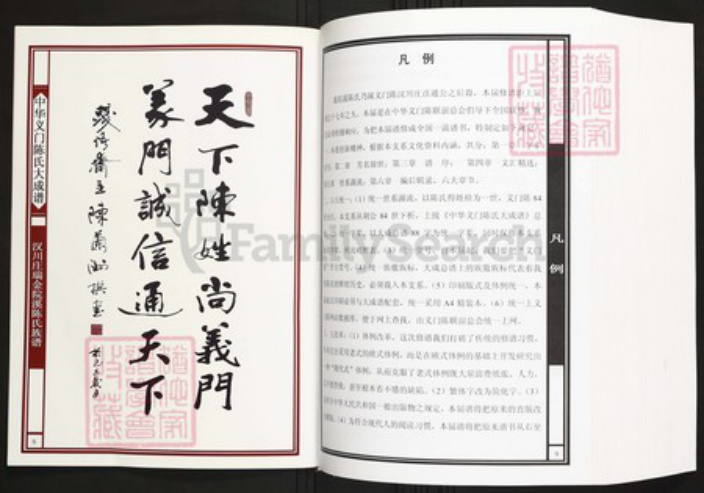 江西省赣州市瑞金市陈氏族谱-中华义门陈氏大成谱汉川庄瑞金院溪陈氏族谱.pdf电子版插图5
