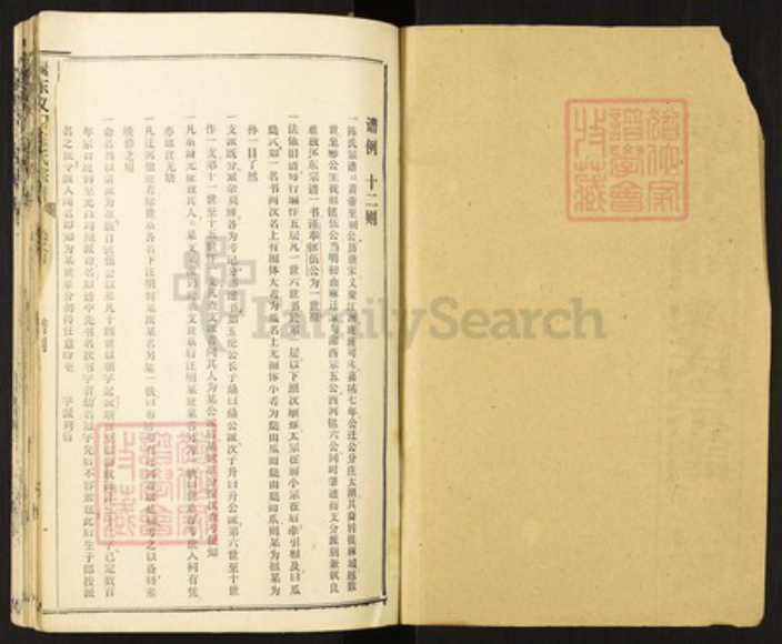 湖北省孝感市孝南区毛陈镇陈氏族谱-瀤东义门陈氏宗谱.pdf电子版插图1