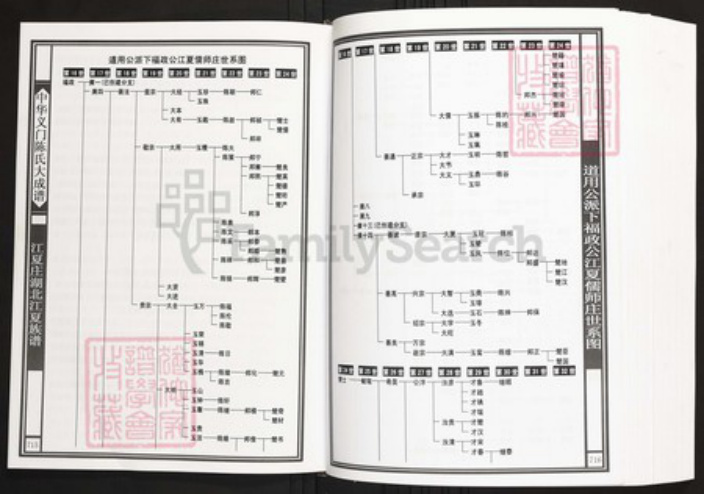 湖北省武汉市江夏区陈氏族谱-中华义门陈氏大成谱江夏庄湖北江夏族谱.pdf电子版插图3