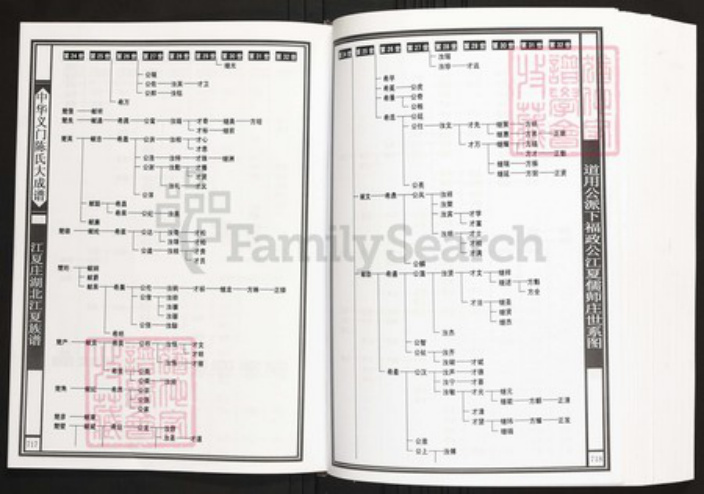 湖北省武汉市江夏区陈氏族谱-中华义门陈氏大成谱江夏庄湖北江夏族谱.pdf电子版插图4