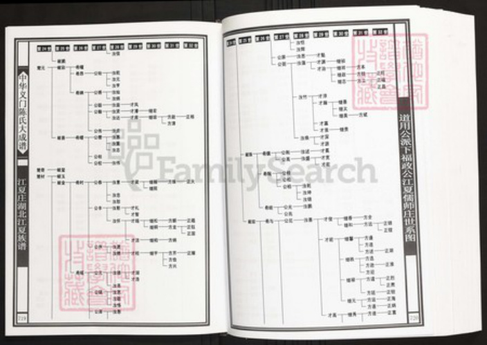 湖北省武汉市江夏区陈氏族谱-中华义门陈氏大成谱江夏庄湖北江夏族谱.pdf电子版插图5