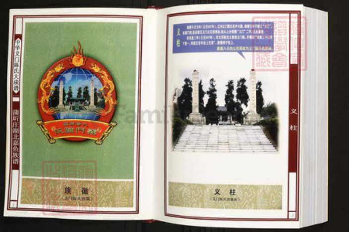 湖北省咸宁市蒲圻市陈氏族谱-中华义门陈氏大成谱蒲圻庄湖北嘉鱼族谱.pdf电子版插图2