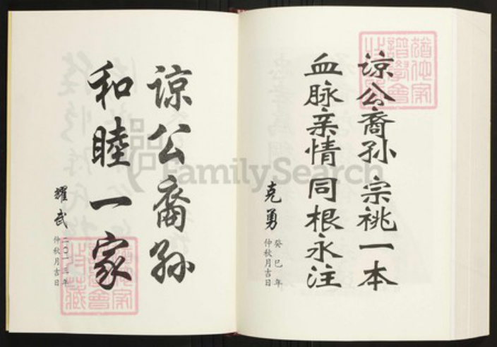 湖南省常德市陈氏族谱-陈氏族谱·岳家湖支.pdf电子版插图1 湖南省常德市陈氏族谱-陈氏族谱·岳家湖支.pdf电子版插图1