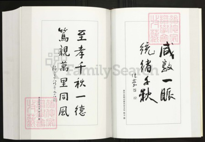 福建省厦门市陈氏族谱-厦门寨上湖陈族谱.pdf电子版插图5 福建省厦门市陈氏族谱-厦门寨上湖陈族谱.pdf电子版插图5