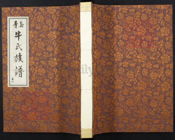 山东省青岛市牛氏族谱-牛氏族谱.pdf电子版