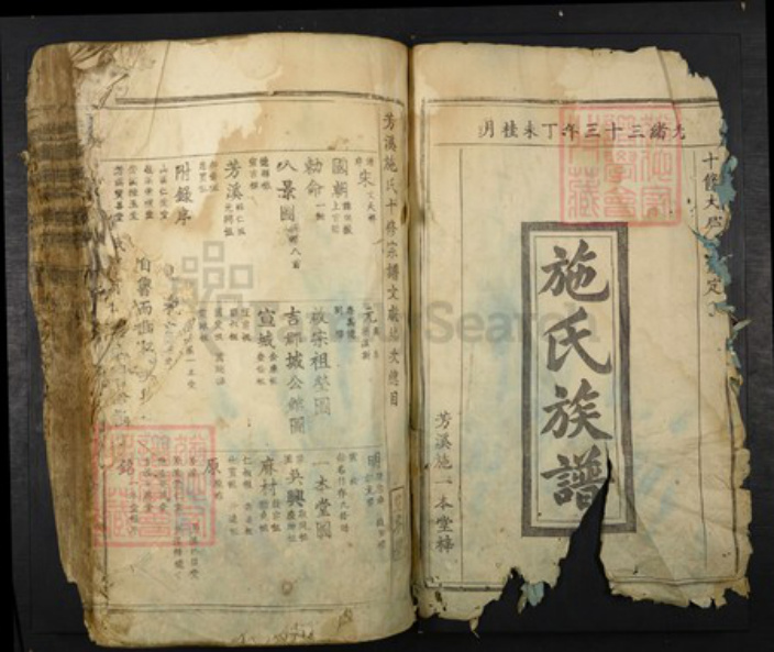 江西省吉安市吉水县施氏族谱-芳溪施氏十修族谱.pdf电子版插图1 江西省吉安市吉水县施氏族谱-芳溪施氏十修族谱.pdf电子版插图1