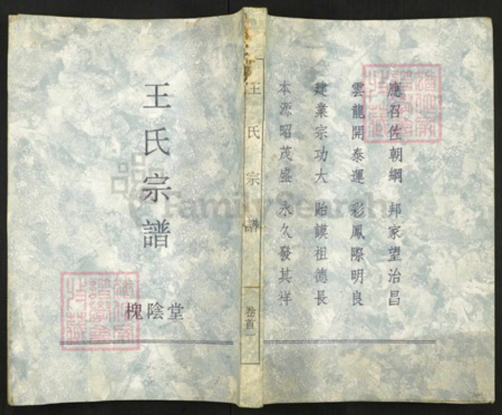 湖北省武汉市新洲区王氏族谱-王氏宗谱.pdf电子版