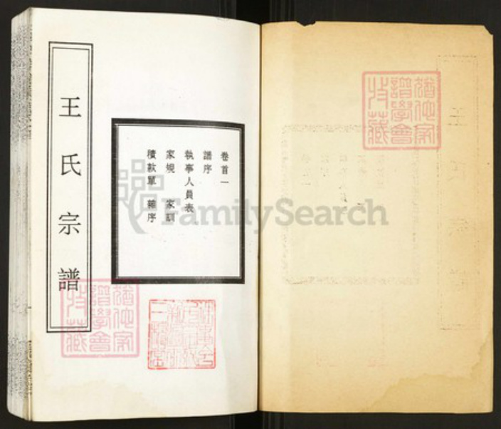 湖北省武汉市新洲区王氏族谱-王氏宗谱.pdf电子版插图1