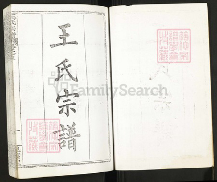 湖北省武汉市新洲区王氏族谱-王氏宗谱.pdf电子版插图2