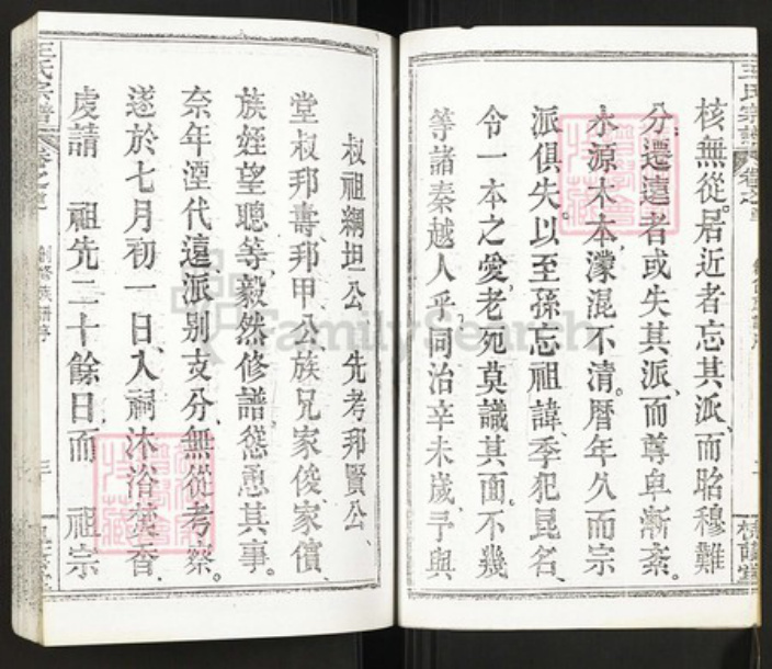 湖北省武汉市新洲区王氏族谱-王氏宗谱.pdf电子版插图5