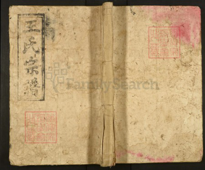 湖南省永州市祁阳县王氏族谱-王氏宗谱.pdf电子版插图 湖南省永州市祁阳县王氏族谱-王氏宗谱.pdf电子版插图