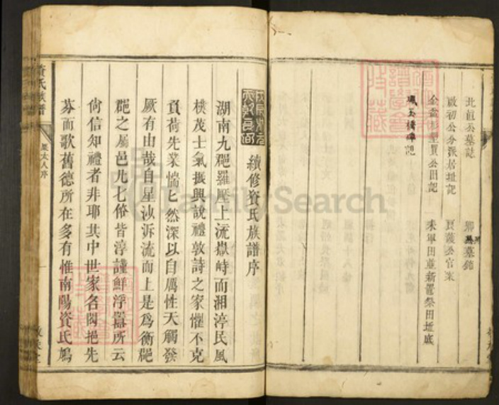 湖南省衡阳市资氏族谱-资氏族谱.pdf电子版插图3 湖南省衡阳市资氏族谱-资氏族谱.pdf电子版插图3