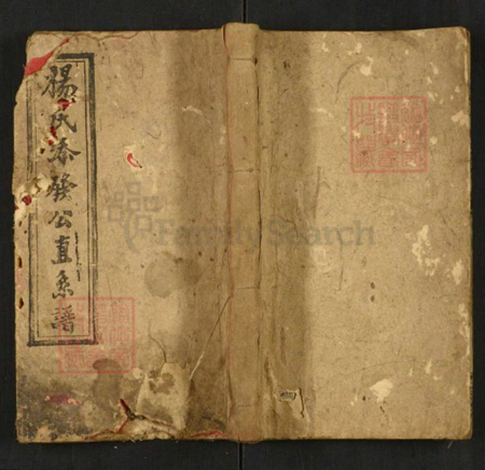 湖南省邵阳市邵东杨氏族谱-邵东新桥杨氏兴房直系谱.pdf电子版