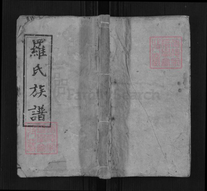 湖南省邵阳市邵阳县罗氏豫章堂族谱-罗氏九房族谱.pdf电子版