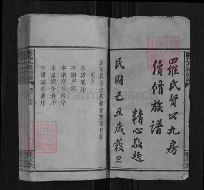 湖南省邵阳市邵阳县罗氏豫章堂族谱-罗氏九房族谱.pdf电子版插图1