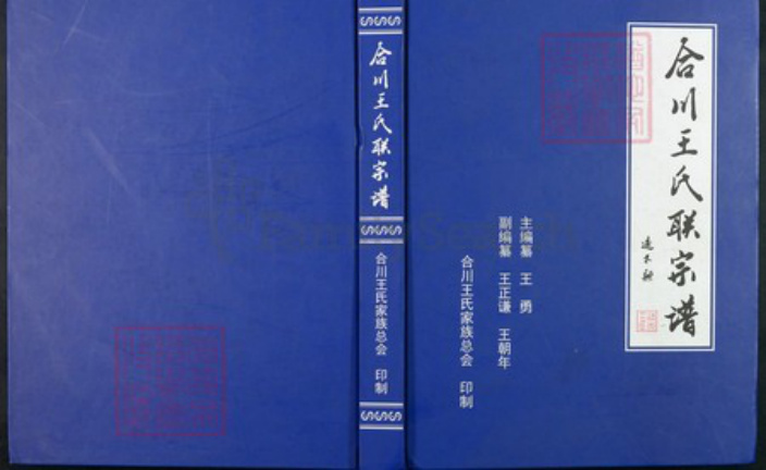 重庆市合川区王氏族谱-合川王氏联宗谱.pdf电子版