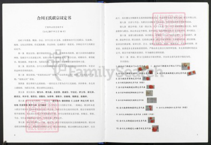 重庆市合川区王氏族谱-合川王氏联宗谱.pdf电子版插图4