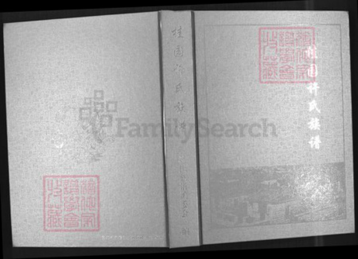 福建省厦门市许氏族谱-桂园许氏族谱.pdf电子版