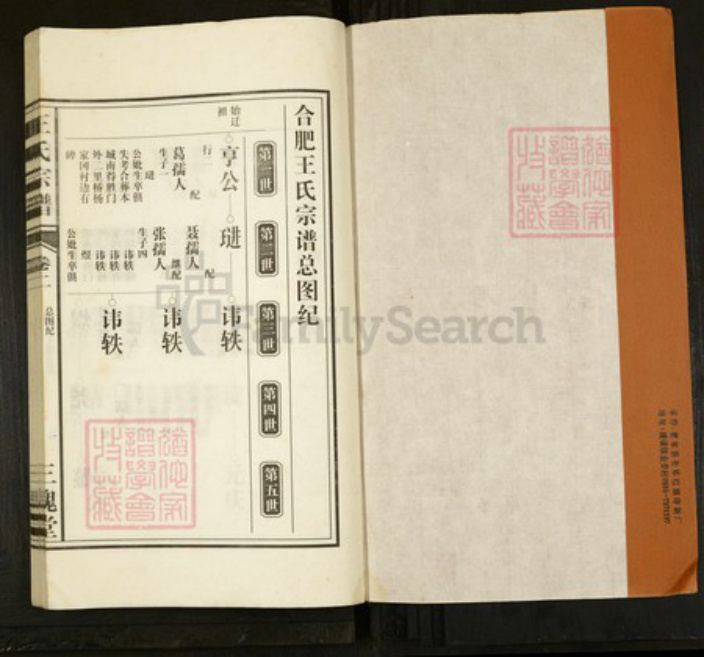 安徽省合肥市肥东县撮镇王氏三槐堂族谱-淝东王氏宗谱.pdf电子版插图1