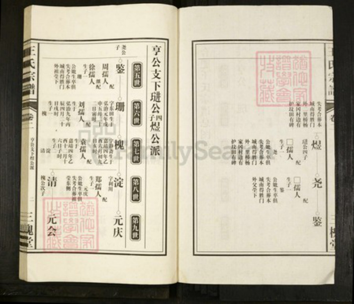 安徽省合肥市肥东县撮镇王氏三槐堂族谱-淝东王氏宗谱.pdf电子版插图2