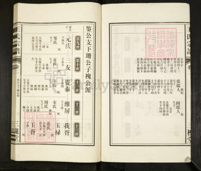 安徽省合肥市肥东县撮镇王氏三槐堂族谱-淝东王氏宗谱.pdf电子版插图3