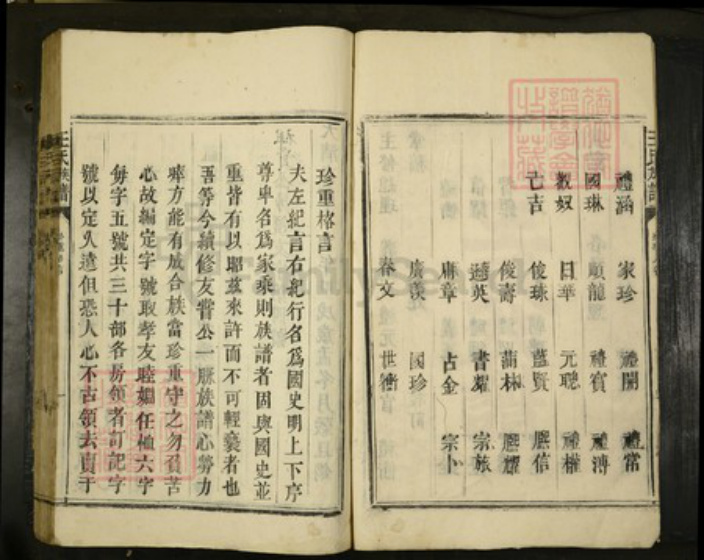 广东省湛江市遂溪县王氏族谱-王氏族谱.pdf电子版插图2 广东省湛江市遂溪县王氏族谱-王氏族谱.pdf电子版插图2