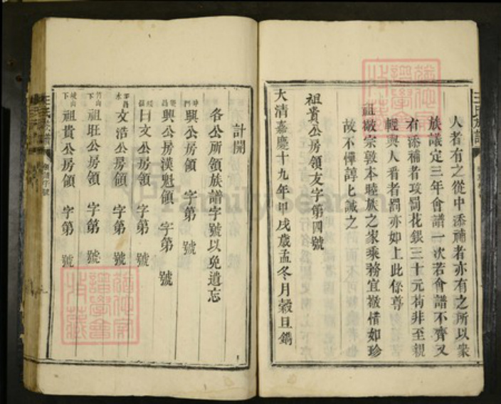 广东省湛江市遂溪县王氏族谱-王氏族谱.pdf电子版插图3 广东省湛江市遂溪县王氏族谱-王氏族谱.pdf电子版插图3