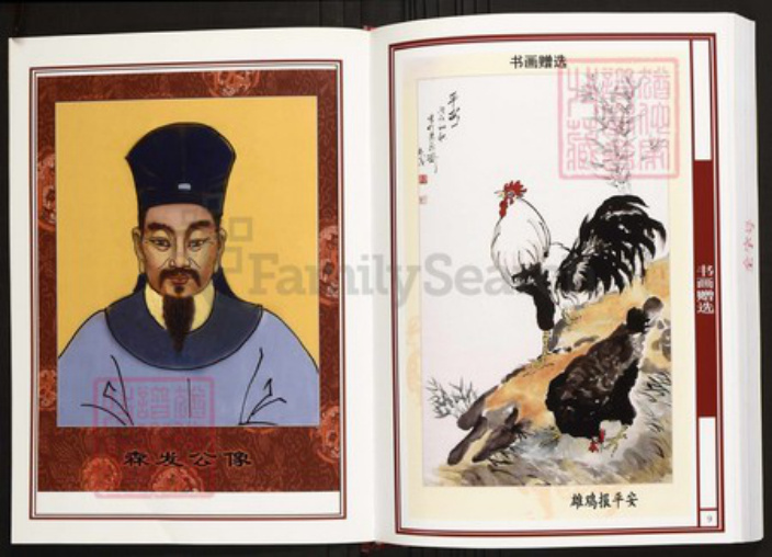 安徽省合肥市庐江县陈氏族谱-中华义门陈氏大成谱河南官庄安徽庐江九思堂支系谱.pdf电子版插图5