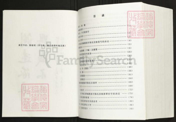 安徽省六安市舒城县陈氏族谱-舒城殷家圩陈氏宗谱.pdf电子版插图2