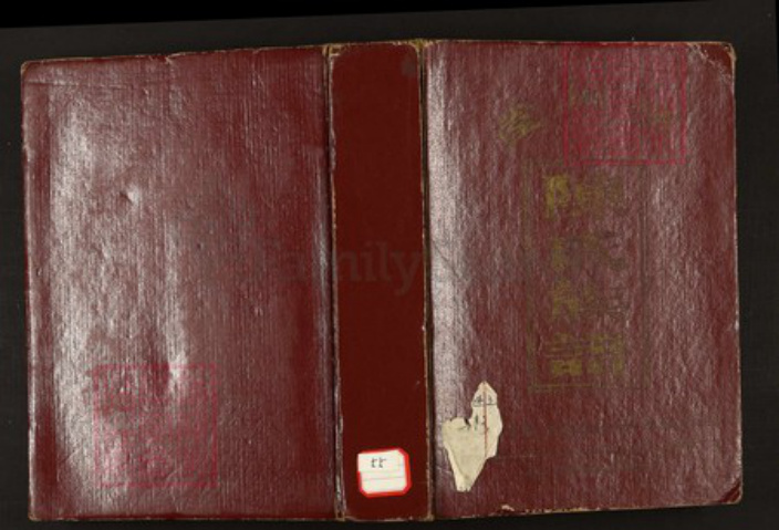 江西省赣州市安远县陈氏族谱-陈氏合修族谱.pdf电子版