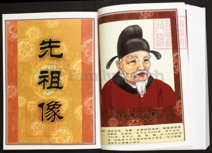 江西省宜春市陈氏族谱-中华义门陈氏大成谱赤土官庄江西宜春沔塘、楼下族谱.pdf电子版插图3