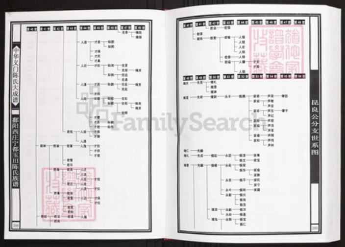 江西省赣州市宁都县陈氏族谱-中华义门陈氏大成谱鄱阳西庄宁都玉田陈氏族谱.pdf电子版插图4