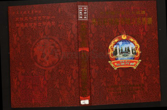 河南省信阳市商城县陈氏族谱-中华义门陈氏大成谱果石庄河南城支系族谱.pdf电子版