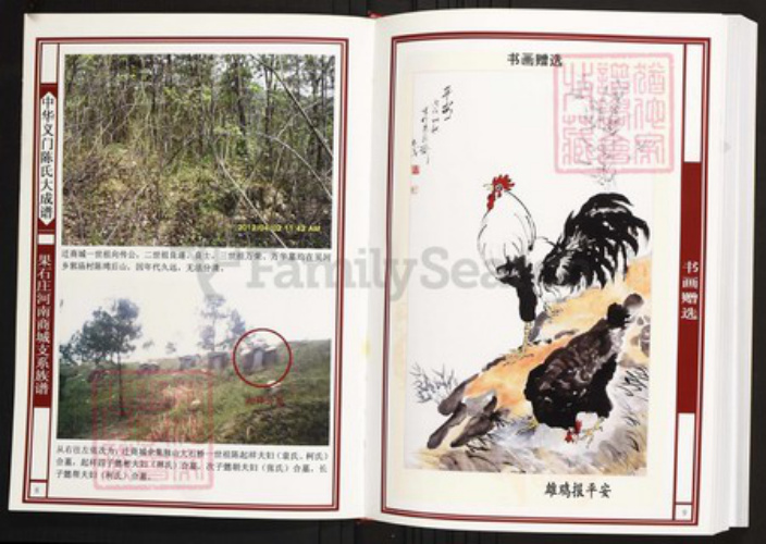 河南省信阳市商城县陈氏族谱-中华义门陈氏大成谱果石庄河南城支系族谱.pdf电子版插图5