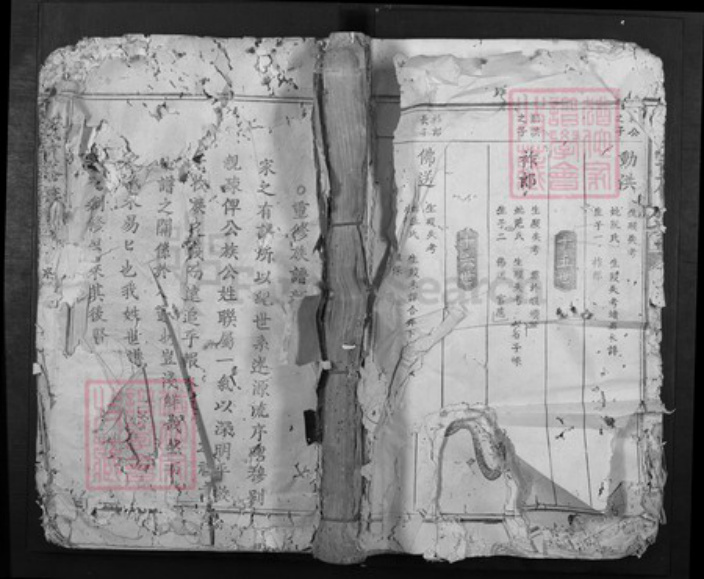 江西省赣州市巫氏族谱-巫氏重修族谱[不分卷].pdf电子版