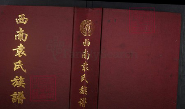 河南省周口市淮阳袁氏族谱-西南袁氏族谱.pdf电子版