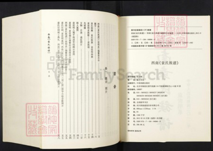 河南省周口市淮阳袁氏族谱-西南袁氏族谱.pdf电子版插图2