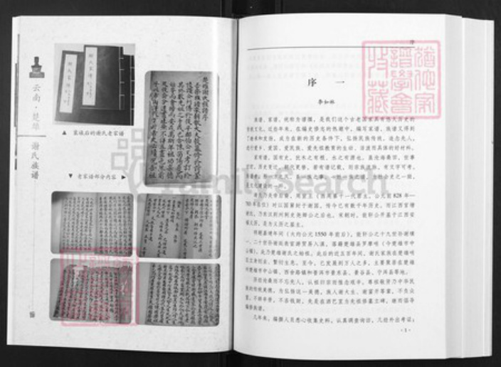 云南省昆明市富民县谢氏族谱-云南楚雄.谢氏族谱.pdf电子版插图2