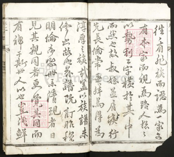 江苏省泰州市王氏族谱-王氏族谱.pdf电子版插图2