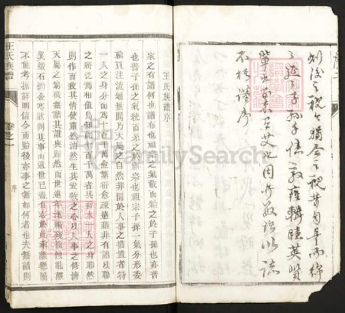 江苏省泰州市王氏族谱-王氏族谱.pdf电子版插图5