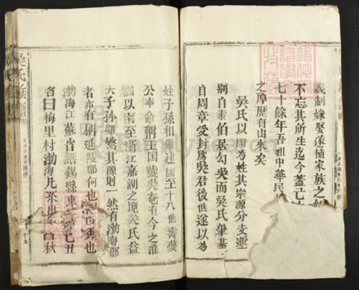 江西省抚州市吴氏族谱-吴氏族谱.pdf电子版插图5